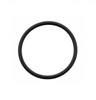 8970708404 O-Ring