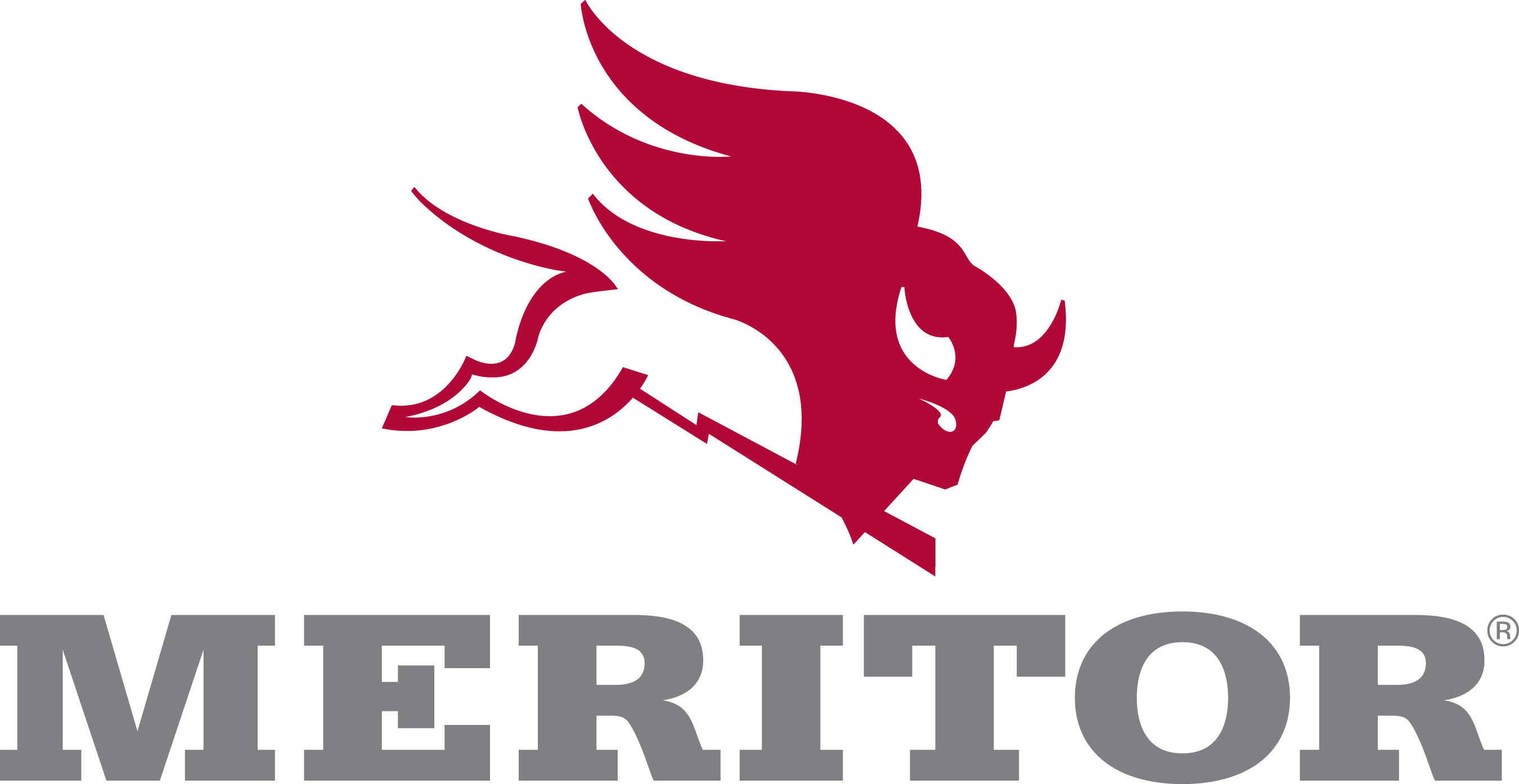 Meritor Meritor