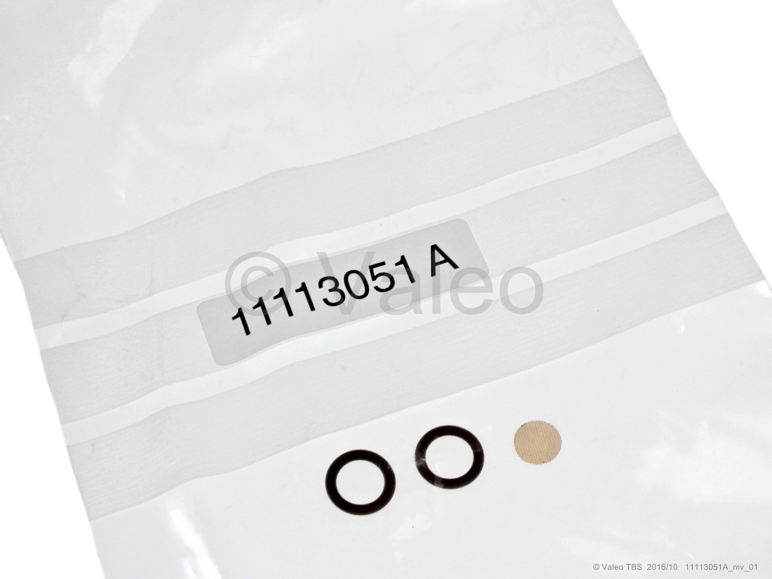 11113051A_mv_01_valeo Dichtung Brennstoffpumpe Thermo S | Kit