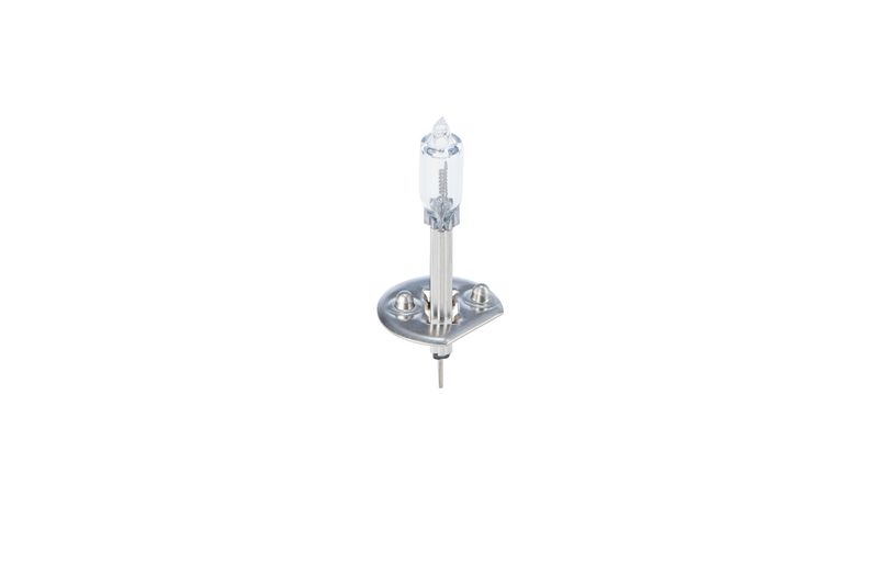 Glühlampe     24V